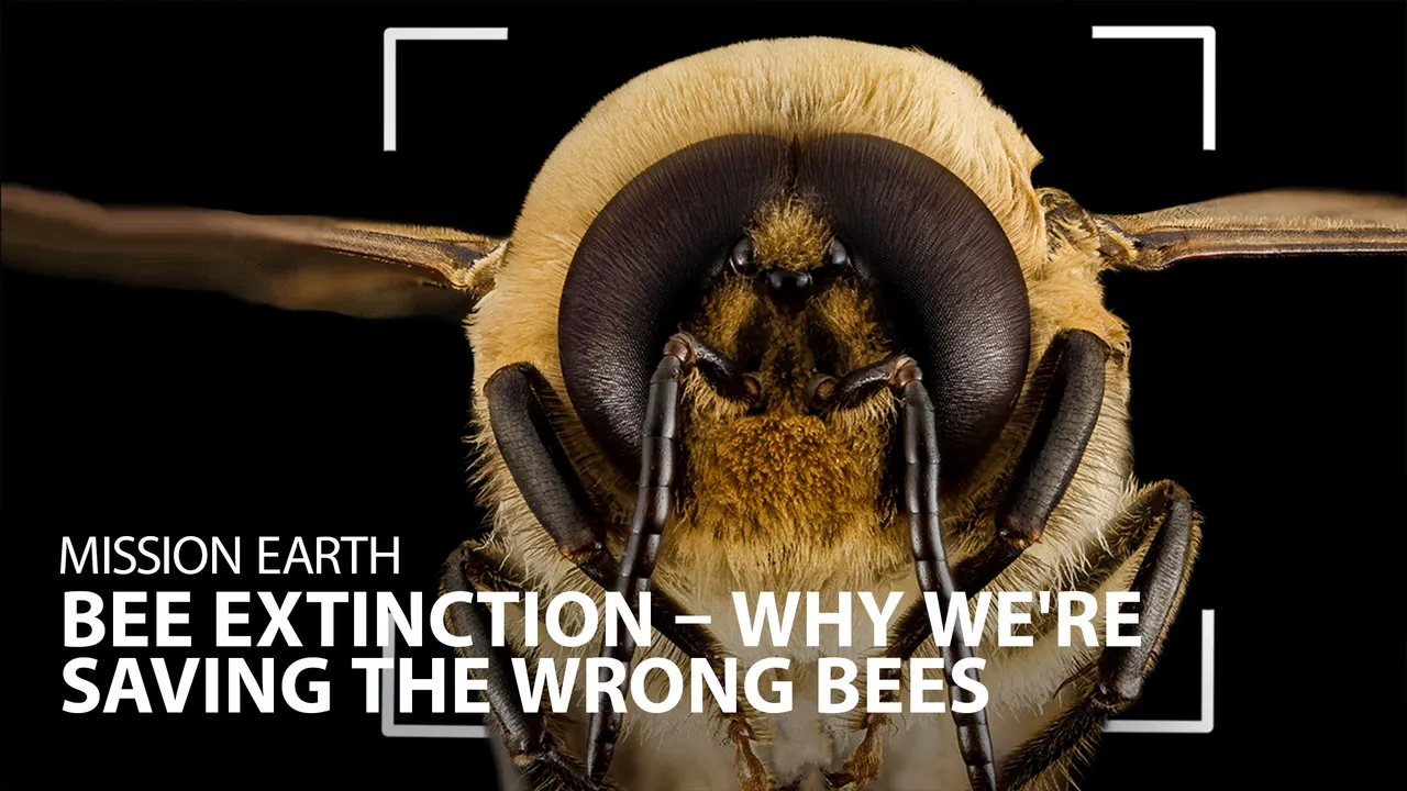 Documentary backdrop image for Mission Earth: Bee Extinction – Why We're Saving The Wrong Bees (2022)