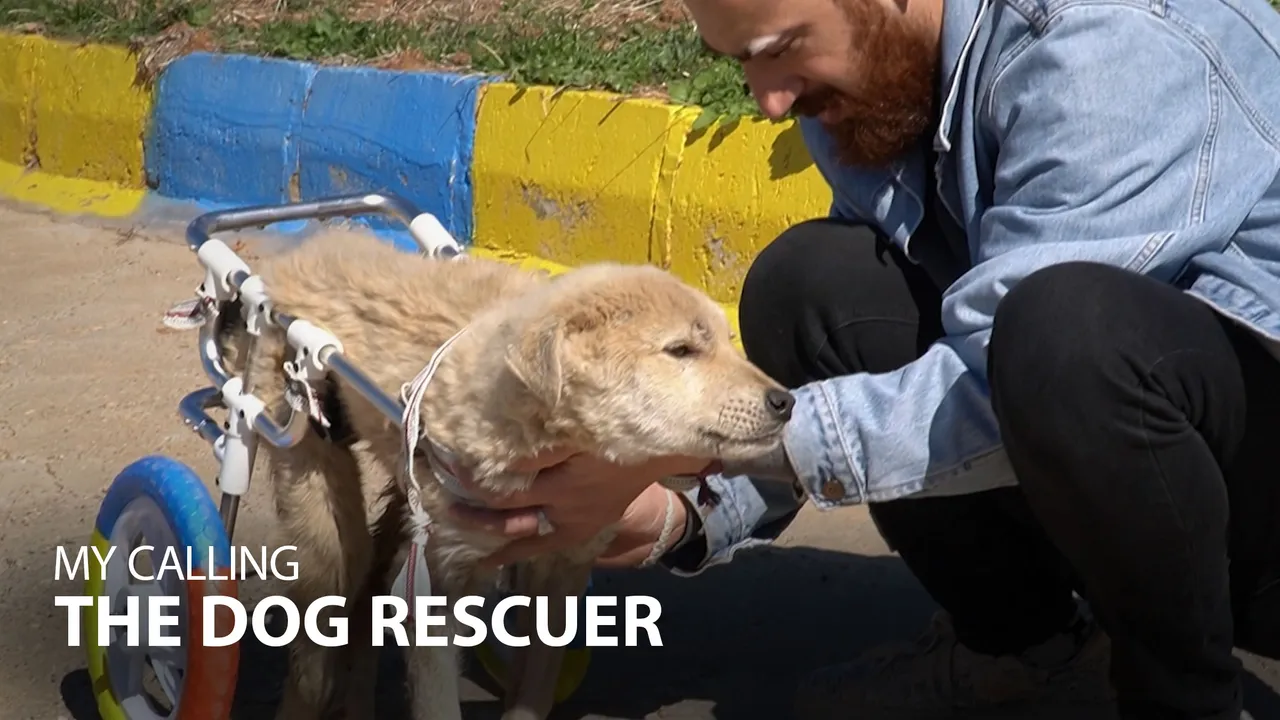 My Calling: The Dog Rescuer