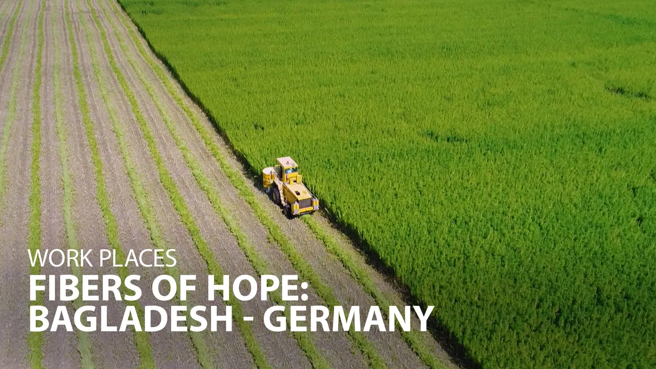 Documentary backdrop image for Work Places: Fibers of Hope (2020)