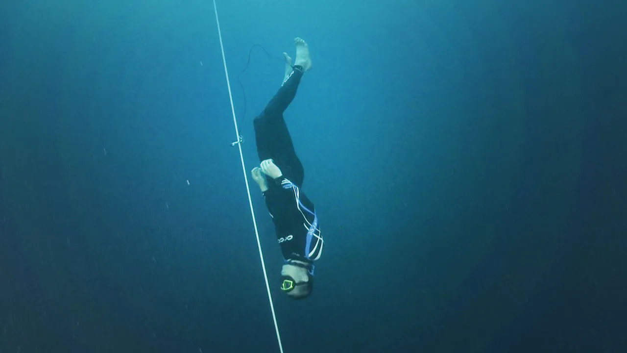 Immersion (2019)