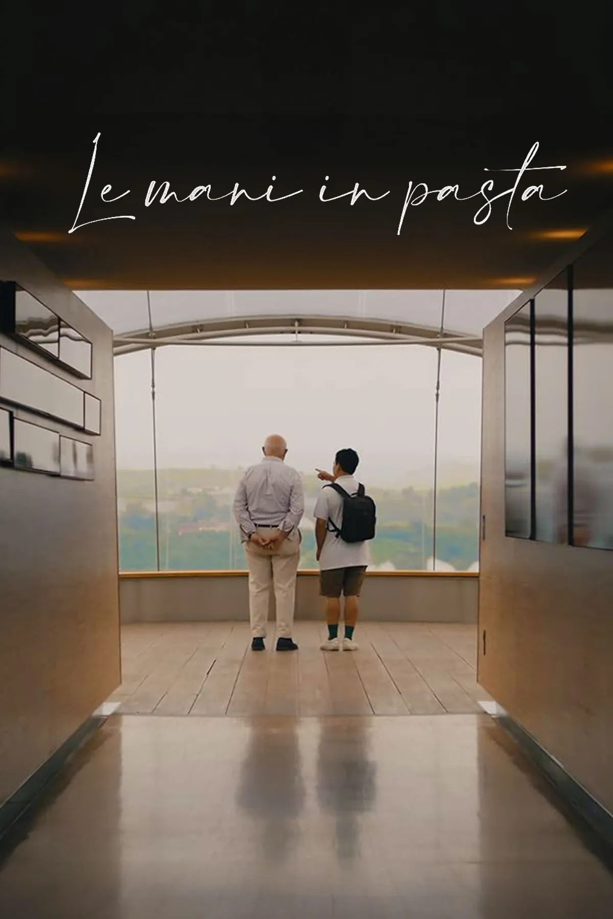 Documentary backdrop image for Le Mani In Pasta (2021)
