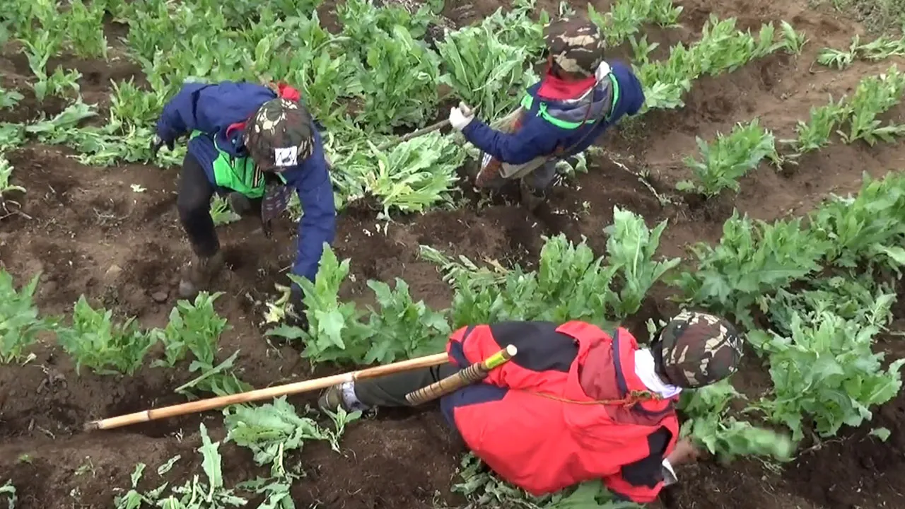 The Opium War (2019)