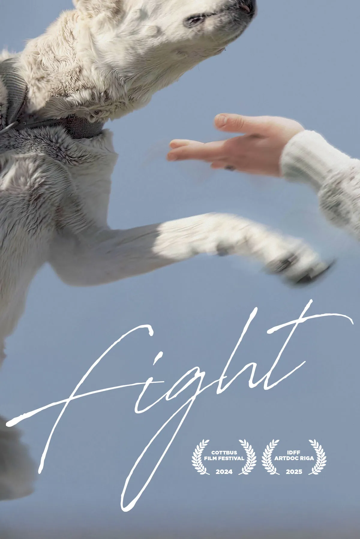 Documentary backdrop image for Fight (2024)