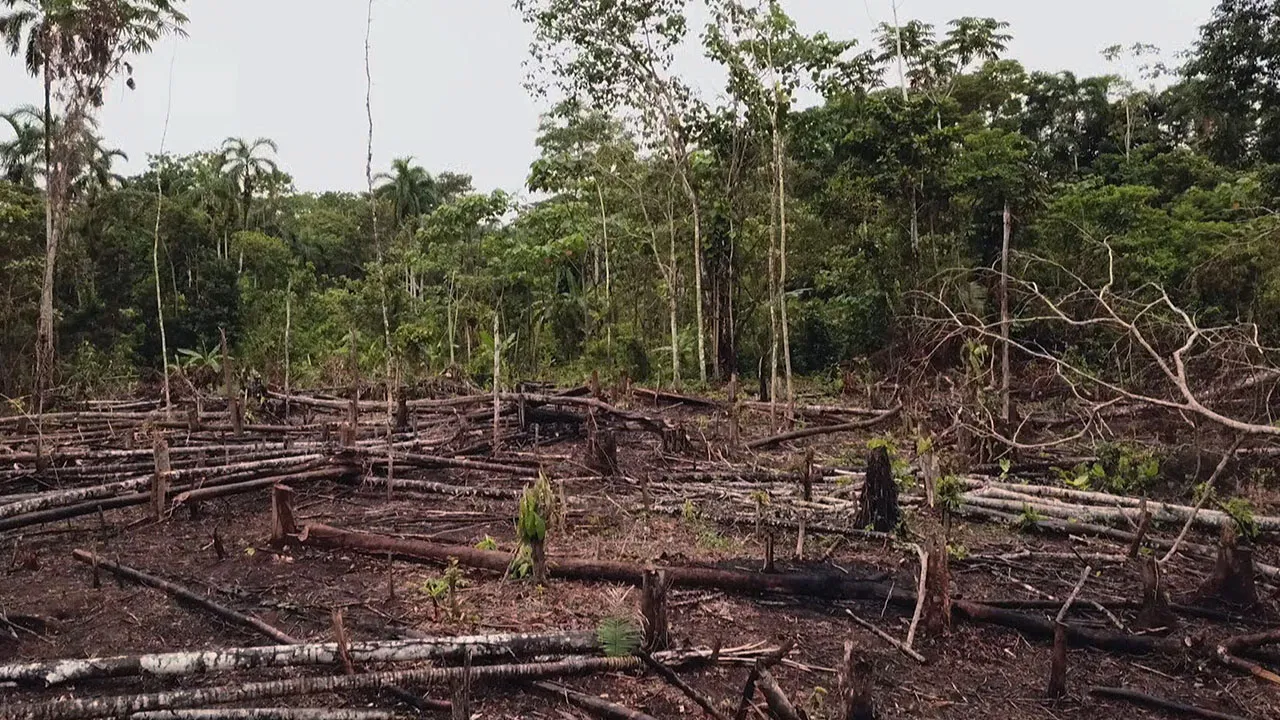 Documentary backdrop image for Green Cops (2018)