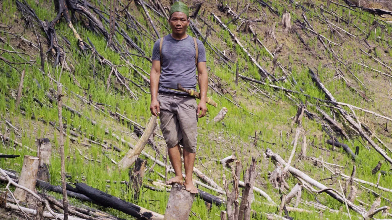 Uprooted: The Olympic Tribe