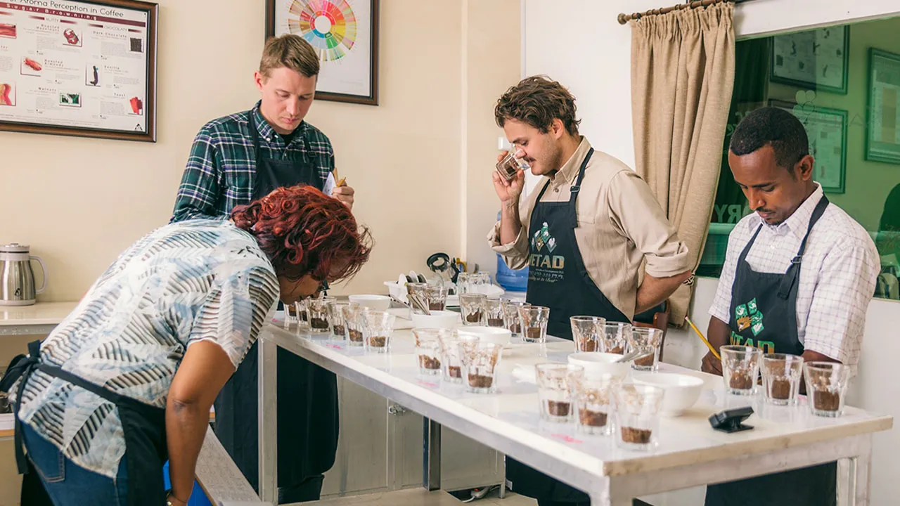 Shade Grown Coffee (2020)