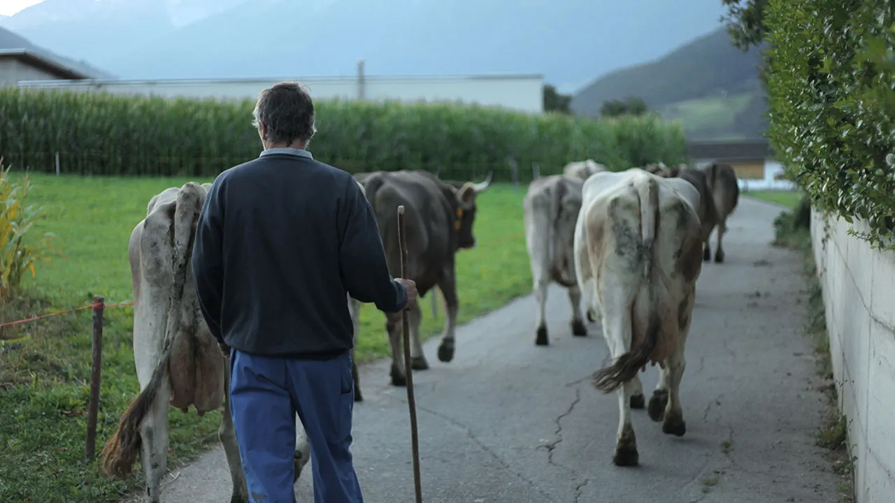 The Milk System (2017)