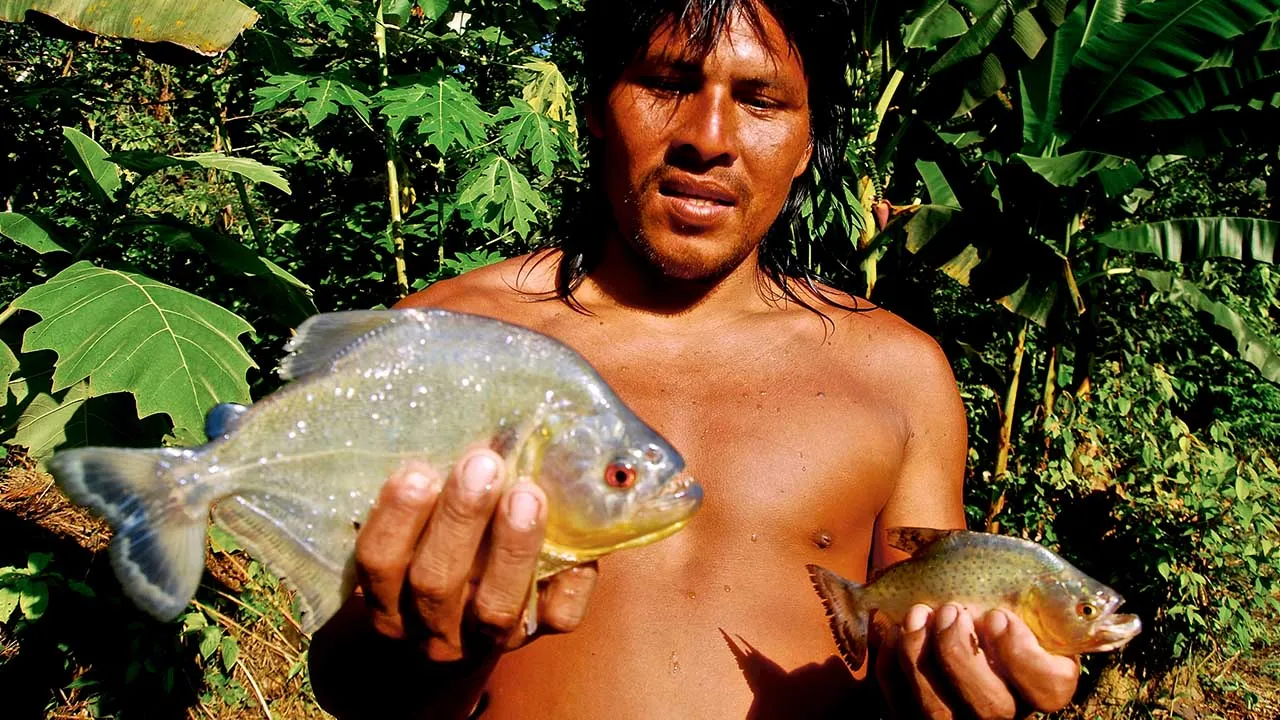 Yasuni Man