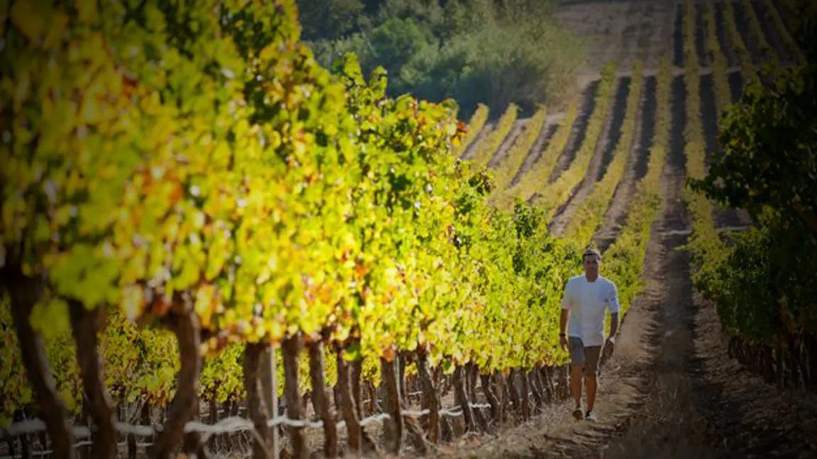 Seasons at Terroir (2016)