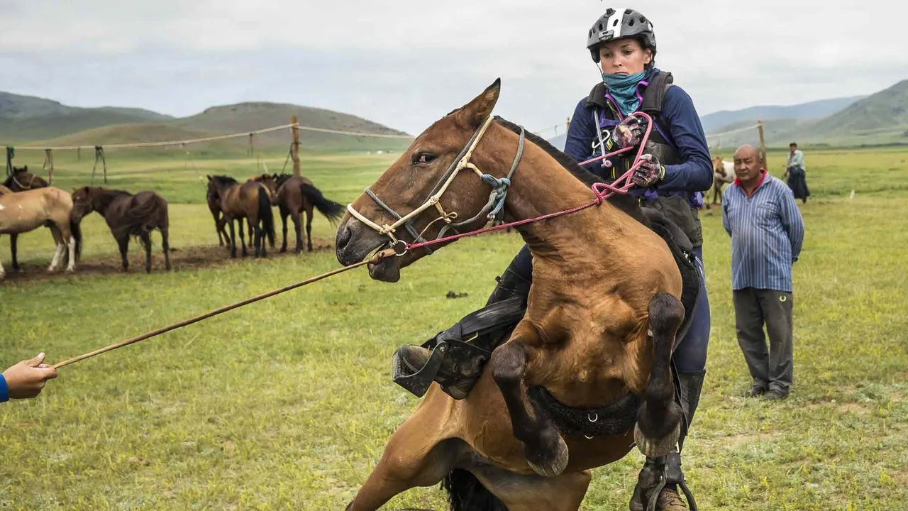 All the Wild Horses (2017)