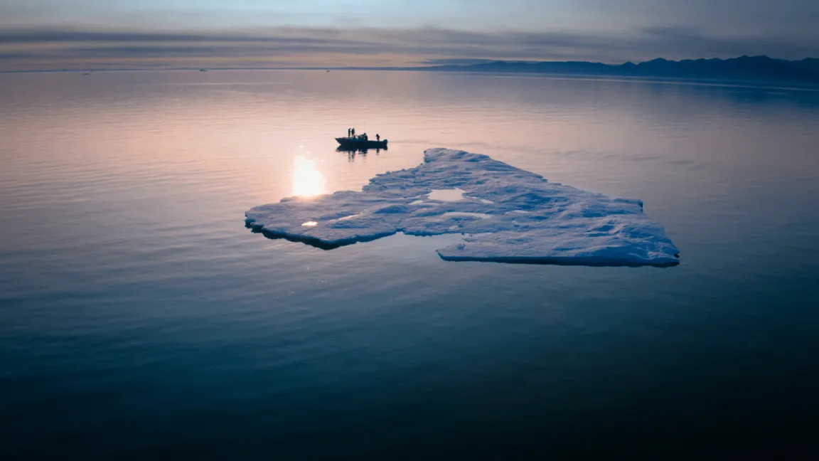 Arctic Peril