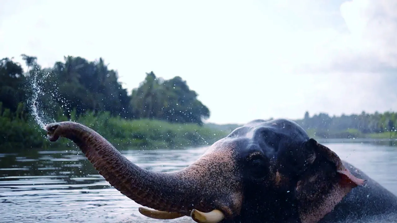 Indonesia: Nature of the Earth (2022)