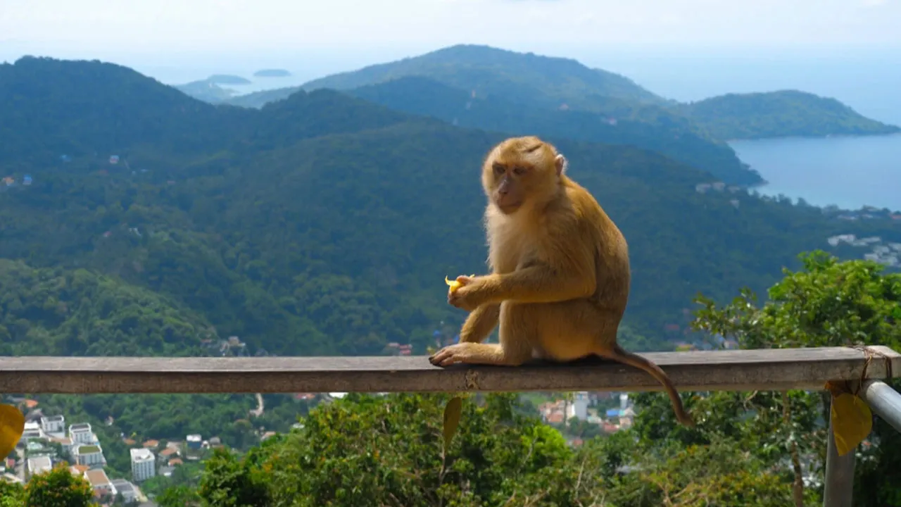 Thailand: Land of Water and Smiles (2025)