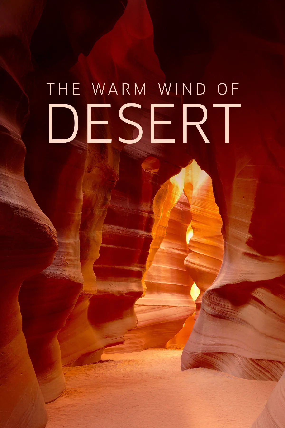 The Warm Wind of the Desert