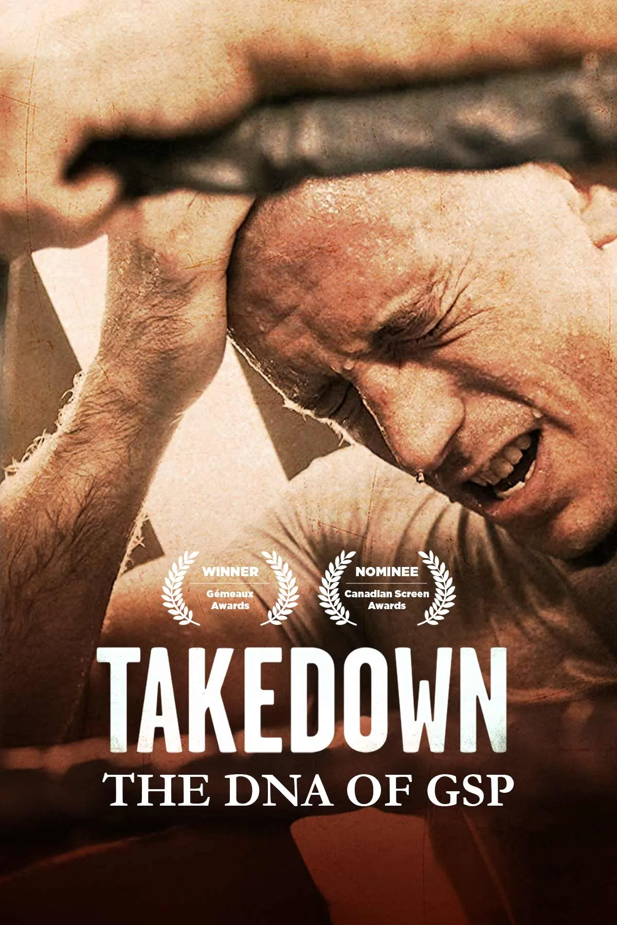 Takedown: The DNA of GSP (2014)
