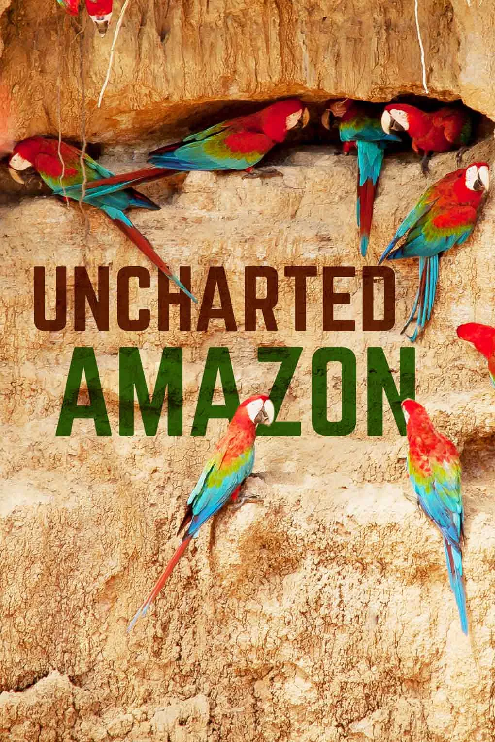 Uncharted Amazon (2016)