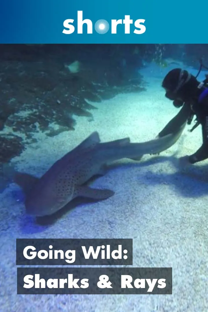 Documentary backdrop image for Going Wild: Bosnia and Hercegovina Sharks (2019)