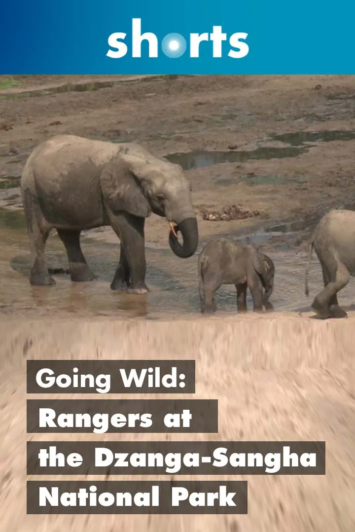 Documentary backdrop image for Going Wild: Central African Republic Ranger (2019)