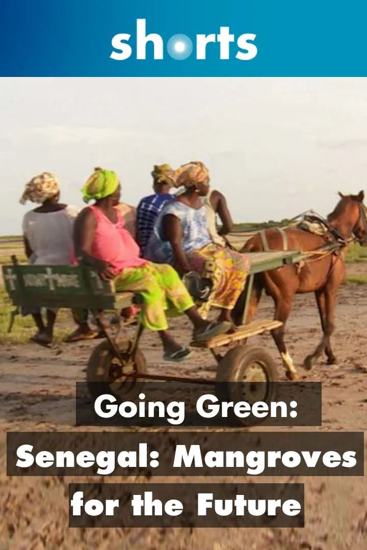 Documentary backdrop image for Going Green: Senegal Mangroves for the Future (2019)