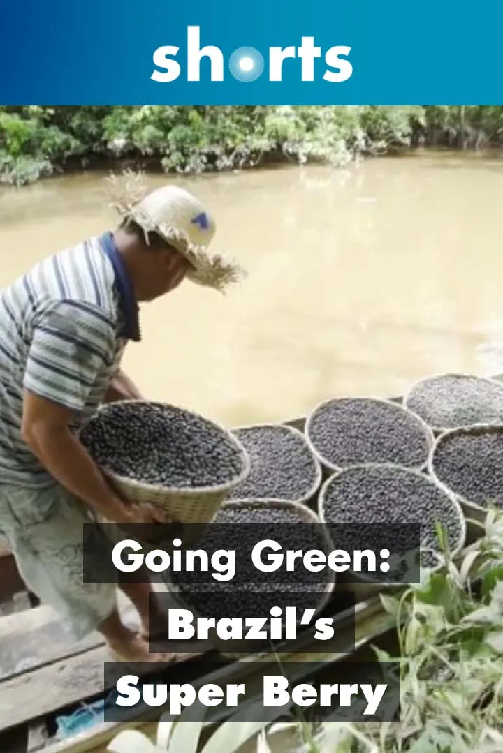 Documentary backdrop image for Going Green: Brazil's Super Berry (2019)