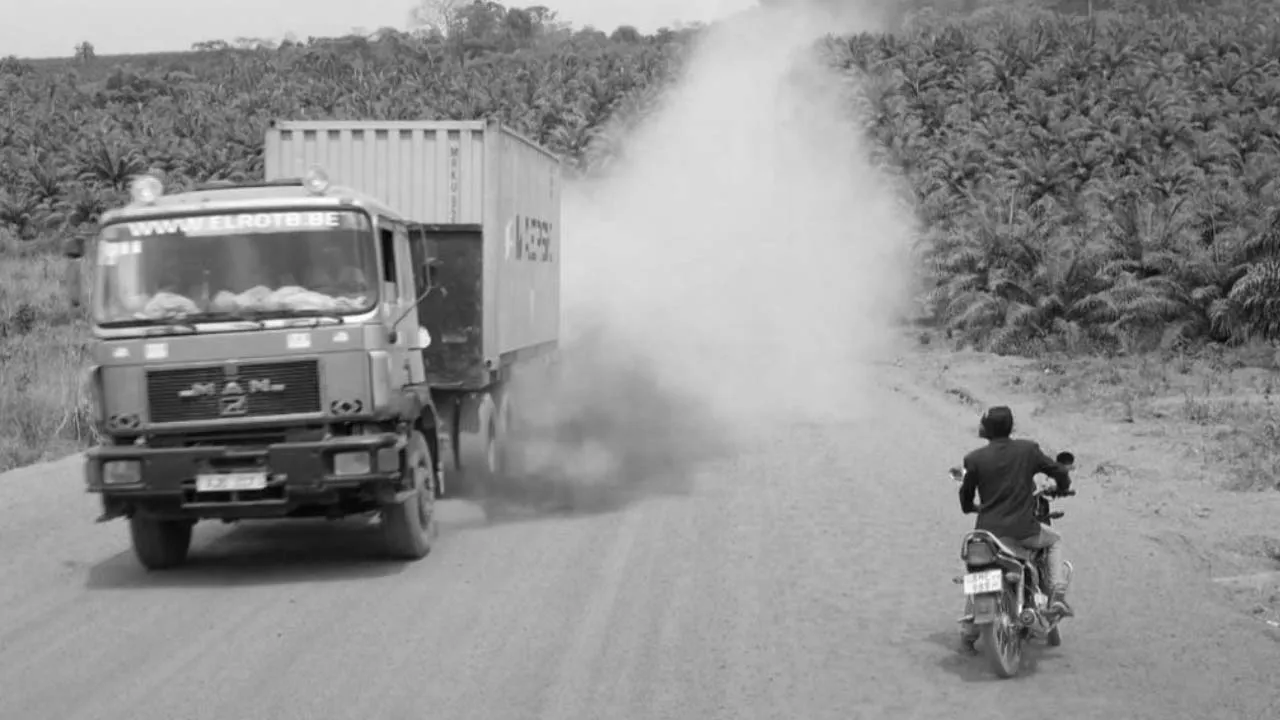Going Green: Fair Palm Oil from Sierra Leone (2019)