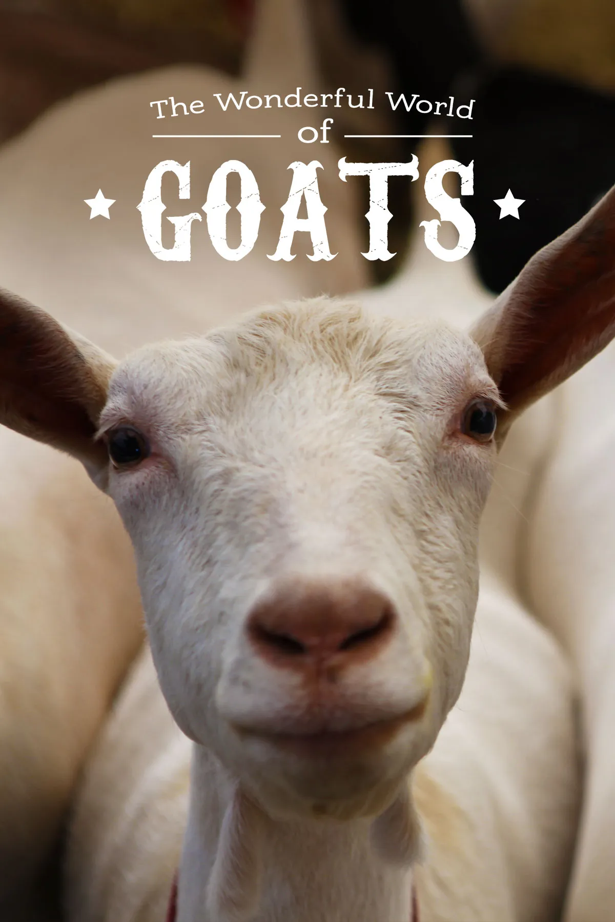 The Wonderful World Of Goats (2020)