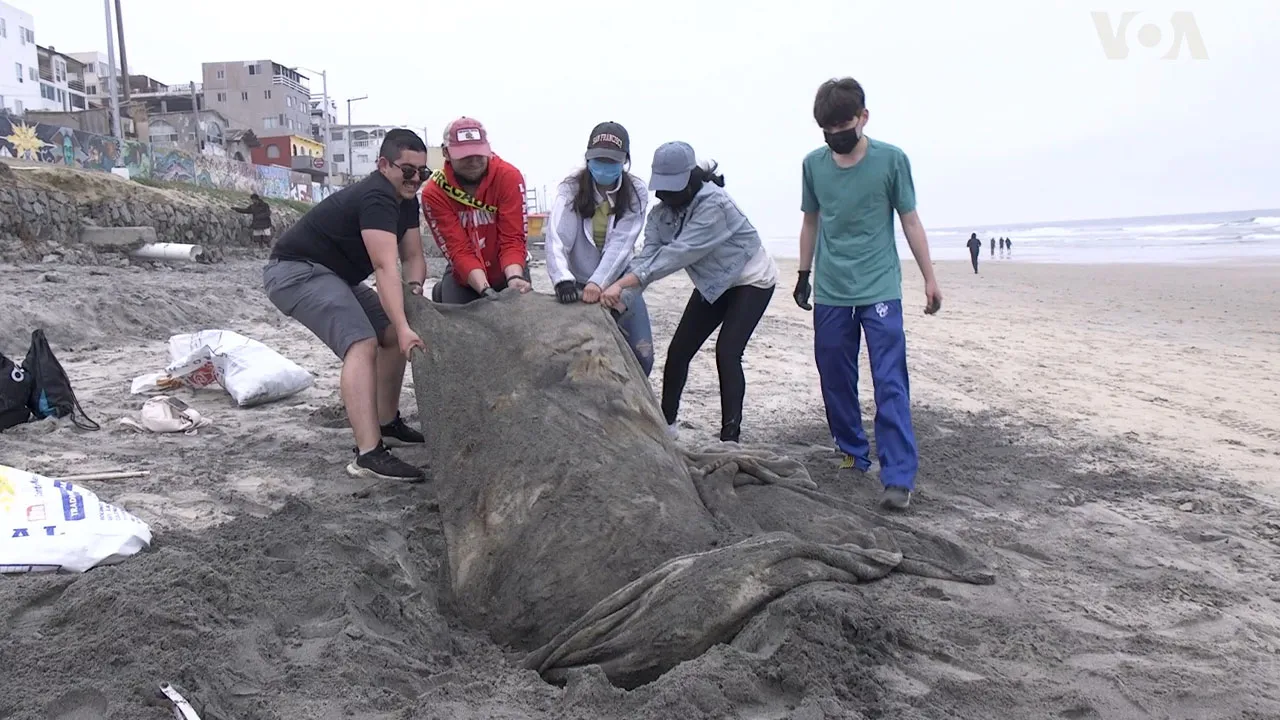For The Ocean (2022)