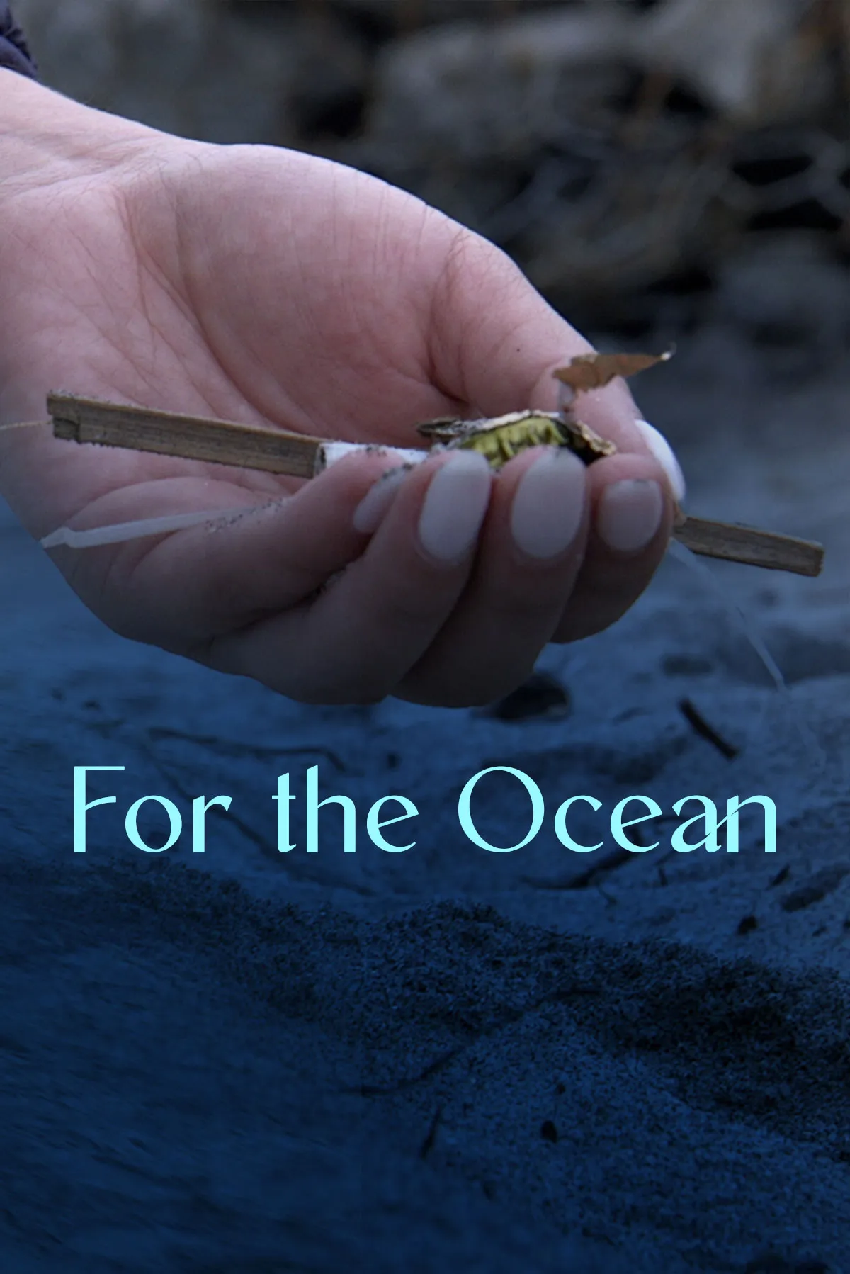 Documentary backdrop image for For The Ocean (2022)