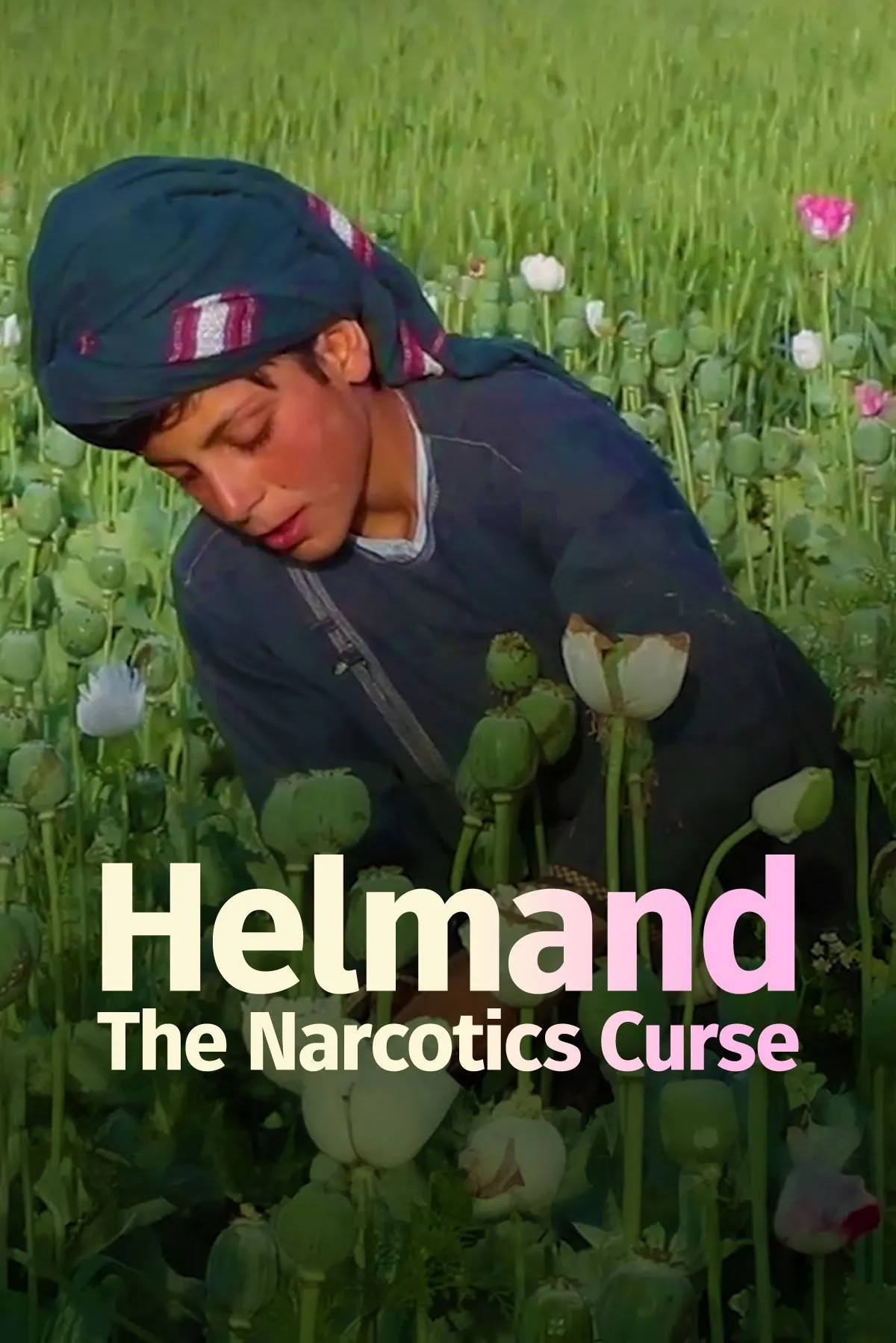 Documentary backdrop image for Helmand, The Narcotics Curse (2023)