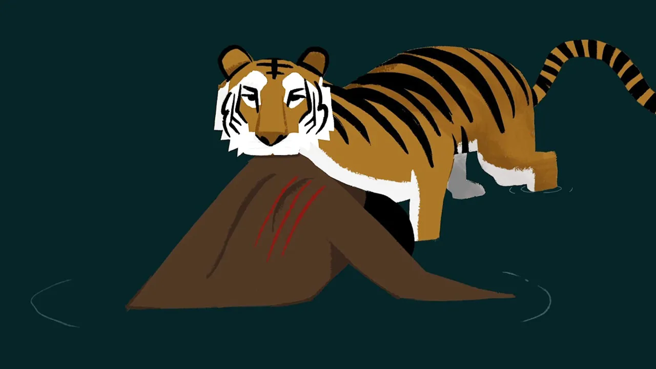 Tiger Widows (2024)