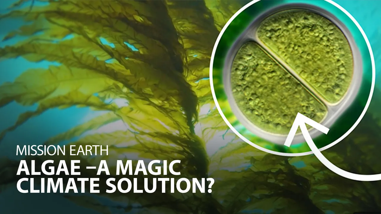 Mission Earth: Algae – A Magic Climate Solution?