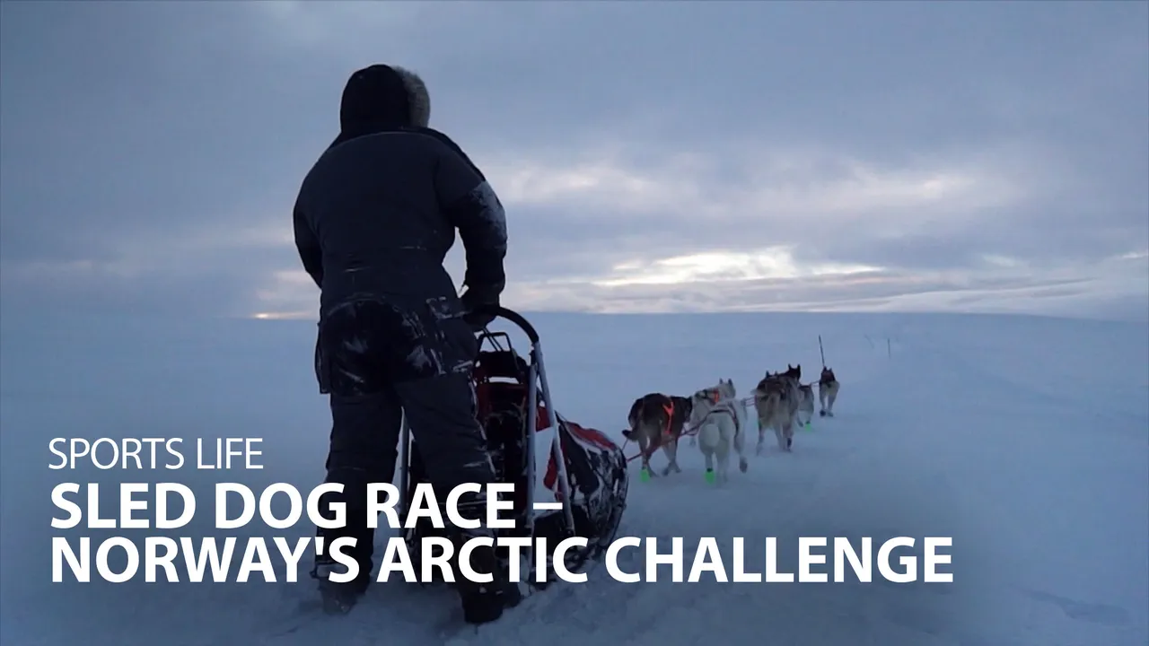 Sports Life: Sled Dog Race – Norway's Arctic Challenge (2023)