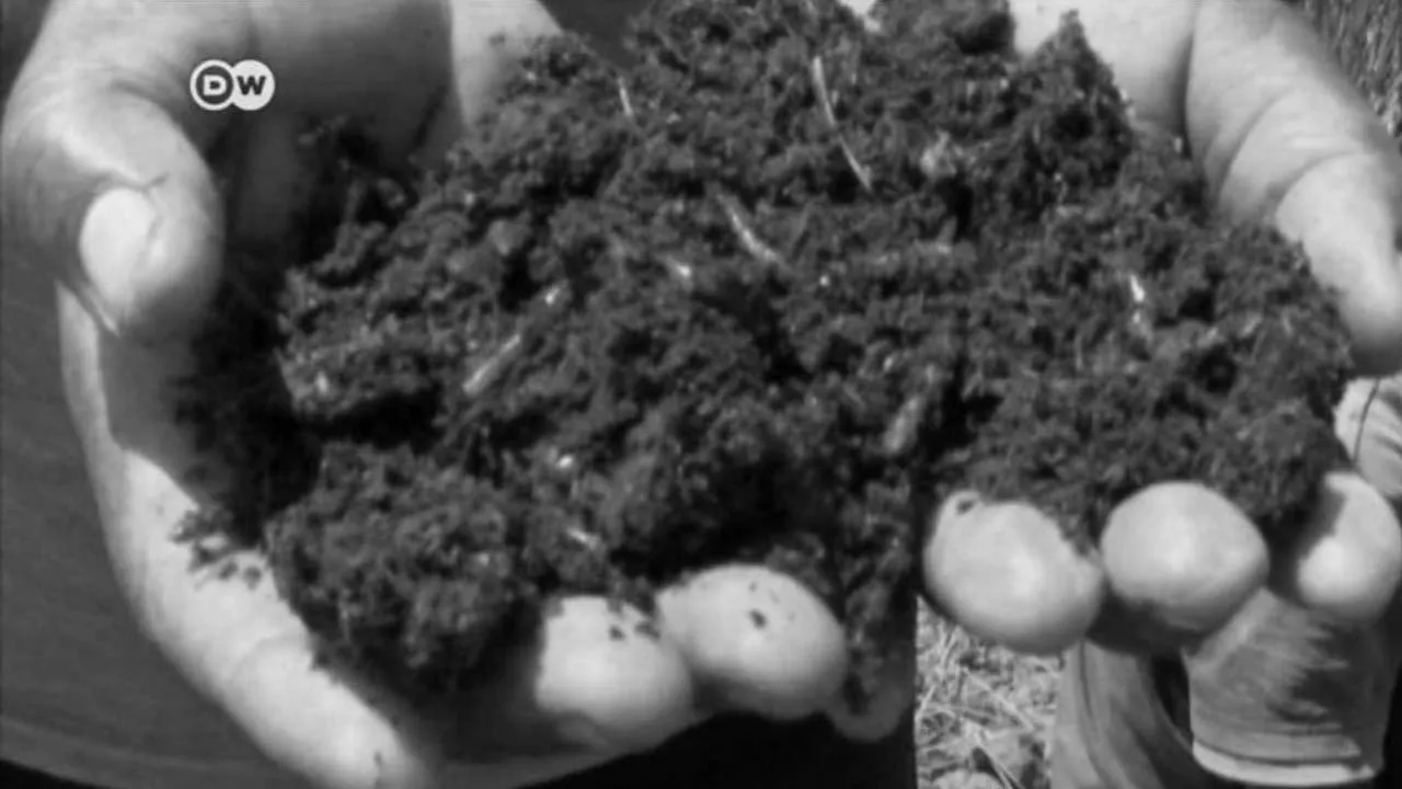 Film backdrop image for Now You Know: Why is the earth's soil brown? (2018)