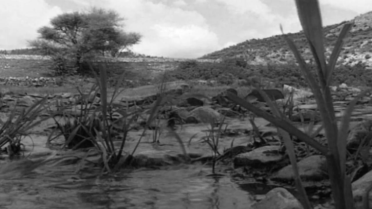 Film backdrop image for Now You Know: How much Groundwater are there in the World? (2018)